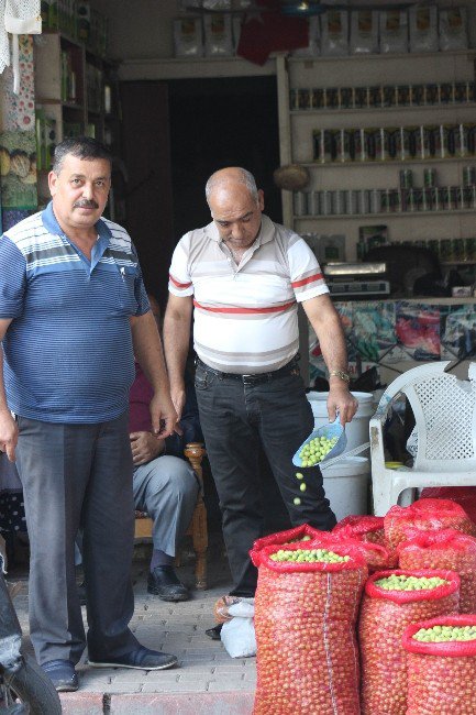 Kilis’te Sofralık Yeşil Zeytin Piyasada