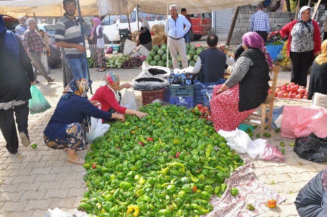 İslahiye ‘De Turşuluk Satışları Başladı