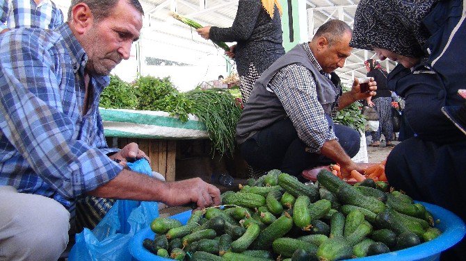 İslahiye ‘De Turşuluk Satışları Başladı