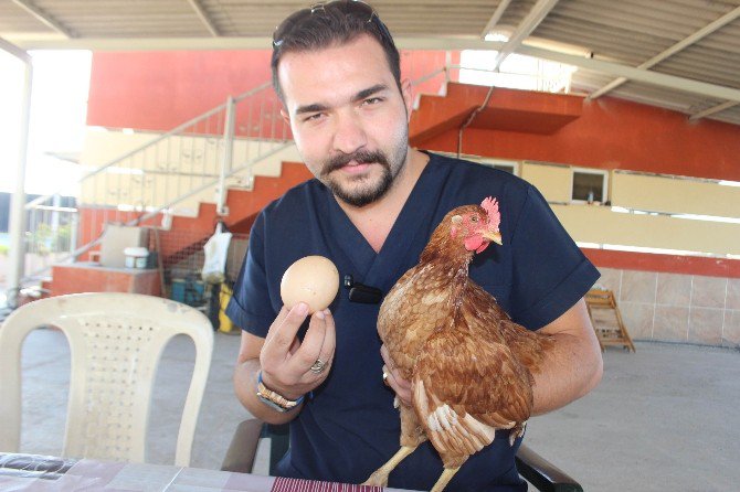 Folluktan Çıkan Bu Yumurta Şaşırttı