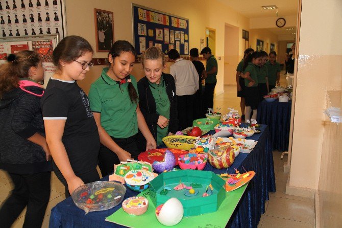 Gkv’lilerden Bitki Ve Hayvan Hücre Maketleri Sergisi