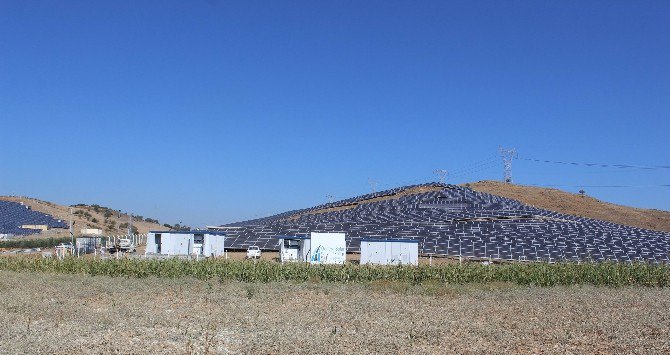 Aydın’ın Güneşi Değerlenmeye Başladı