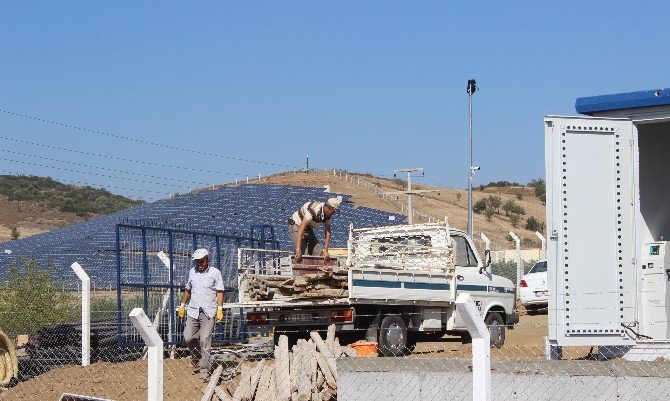Aydın’ın Güneşi Değerlenmeye Başladı