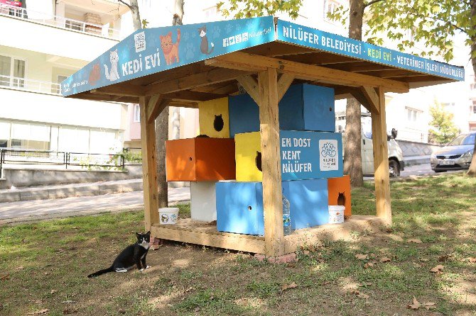 Can Dostları Nilüfer’de Güvende