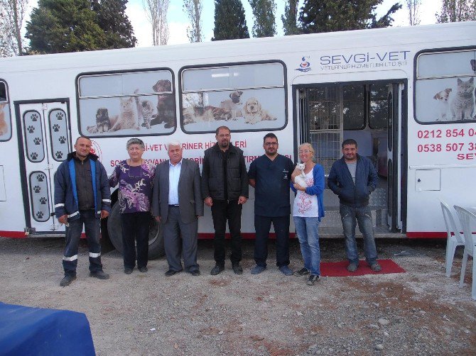 Çardak’ta Sokak Hayvanları Kısırlaştırılıyor