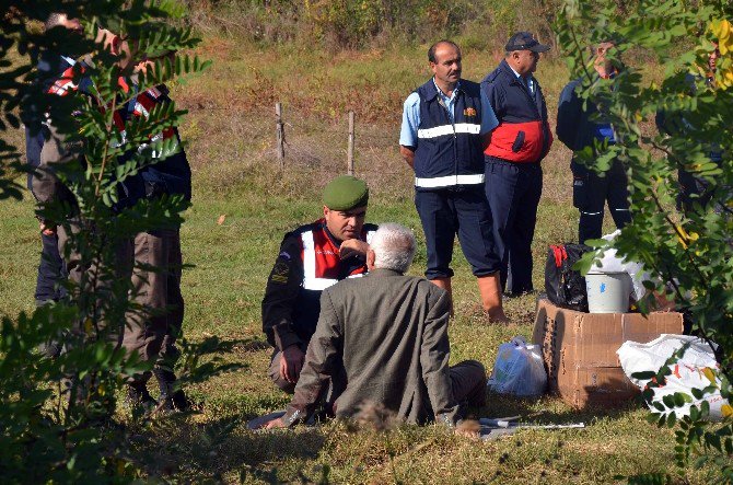 Yoldan Çıkan Kamyonet Tarlaya Uçtu: 1 Ölü, 2 Yaralı