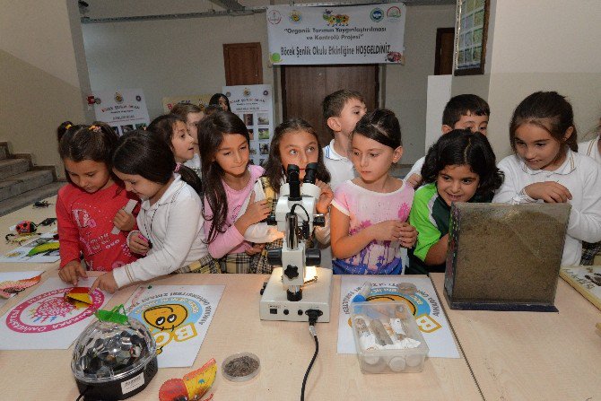 Öğrenciler Böceklerden Korkmamayı Ve Doğa İle Bütünleşmeyi Öğreniyor