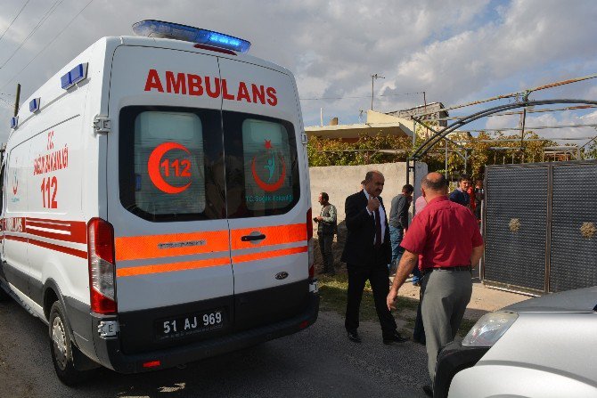 Şehit Ailesi Evlatlarının Acı Haberini Tarlada Çalışırken Aldı