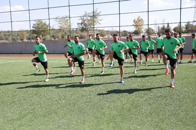 Şehitkamil Kendi Evinde Galibiyet İstiyor