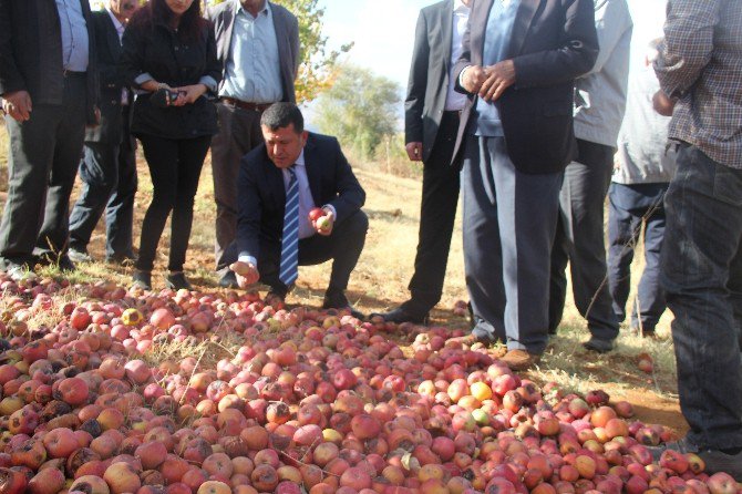 Chp Genel Başkan Yardımcısı Ve Malatya Milletvekili Veli Ağbaba: