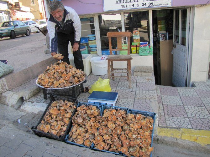 Hisarcık’ta Melki Mantarı Tezgaha İndi