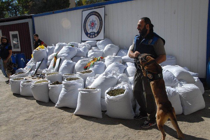 Diyarbakır’da 20 Milyon Liralık Esrar Ele Geçirildi