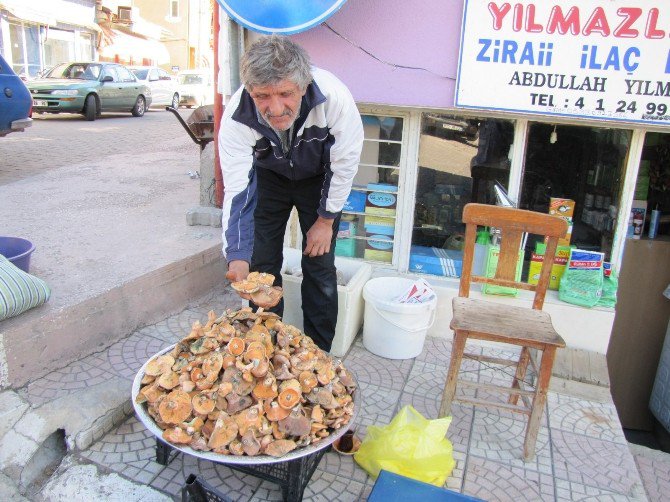 Hisarcık’ta Melki Mantarı Tezgaha İndi