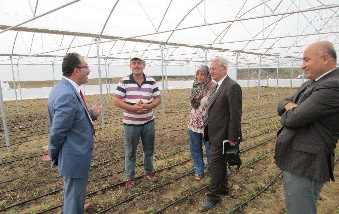 Genç Çiftçi Projesi İlk Meyvelerini Vermeye Başladı