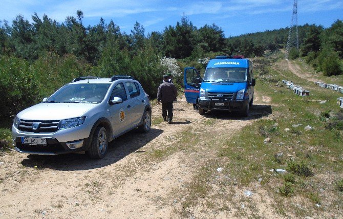 Gözü Dönmüş Hırsızlar 52 Kovan Arıyı Balıyla Birlikte Çaldı