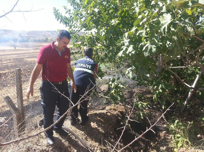 Ağaçlık Alanda Çıkan Yangında Yaklaşık 25 Ağaç Zarar Gördü