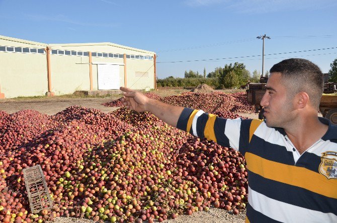 Para Etmeyen Elmanın Sağlamı Da Çürüğü De Satılmıyor