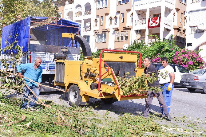 Muratpaşa’da Ağaç Dalları, Bahçe Atıkları Gübreye Dönüşüyor