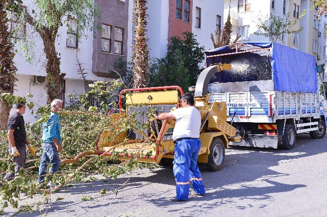 Muratpaşa’da Ağaç Dalları, Bahçe Atıkları Gübreye Dönüşüyor