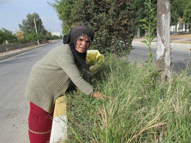 Diyarbakırlı Hasibe’nin Aydın’daki Yaşam Savaşı