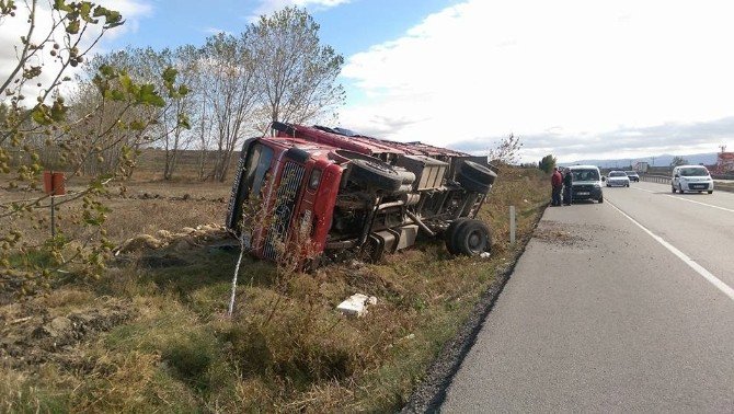 Kamyon Dolusu Koyun Telef Oldu
