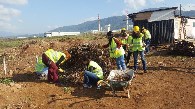 Düzceli Depremzedeler Ve Gönüllüler Birlikte İnşaat İçin Buluştu