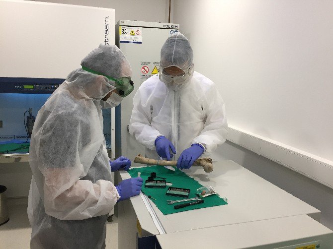 İaü Türkiye’deki İlk Antik Dna Çalışmasını Yaptı