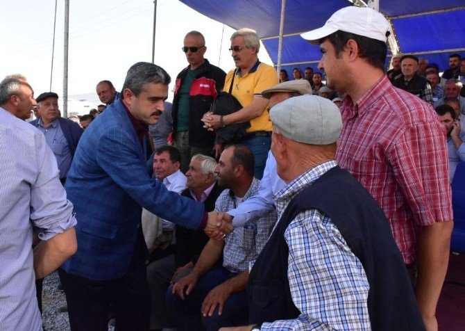 Geleneksel Nazilli Rahvan At Yarışlarına Yoğun İlgi