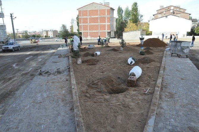 Palandöken Belediyesi ’’Sevdamız Yeşil Bir Palandöken’’ Sloganıyla Bin Fidan Dikimine Başladı