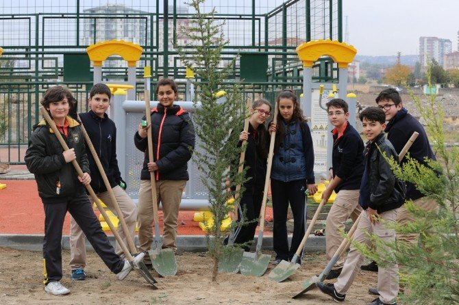 Melikgazi’de Sonbahar Ağaçlandırma Çalışmaları Başladı