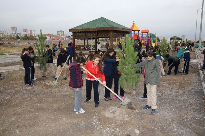 Melikgazi’de Sonbahar Ağaçlandırma Çalışmaları Başladı