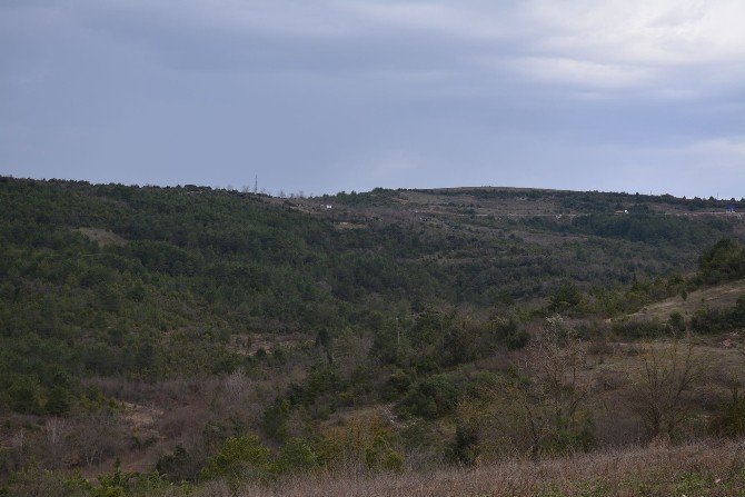 Alaplı Osb, Altyapı İhalesine Çıkıyor