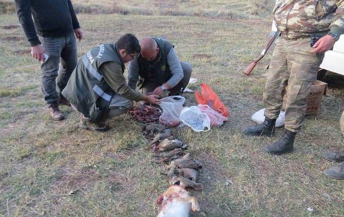 Erzincan’da Avlanma Limitini Aşan Avcılara Ceza Yağdı