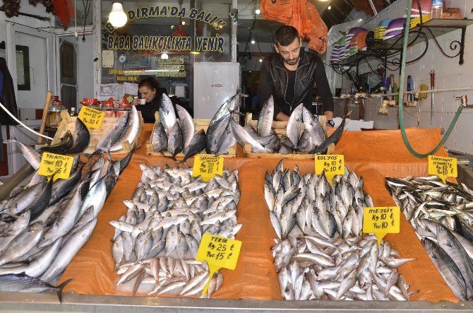 Soğuklar Balık Fiyatlarını Etkilemedi