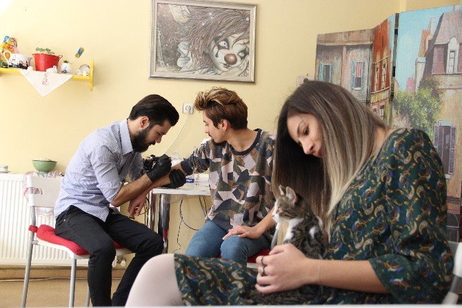 Kedi Dövmelerinin Geliri ‘Patili Dost’larına