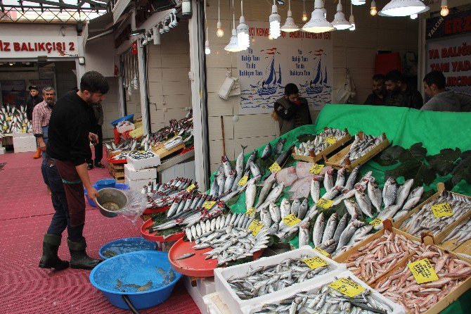 Rüzgar, Yağmur Ve Fırtına Balık Fiyatlarını Etkilemedi