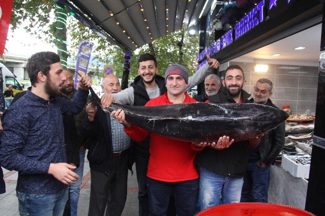 Rize’de Balıkçı Tezgahındaki Dev Orkinos Vatandaşın İlgisini Çekti