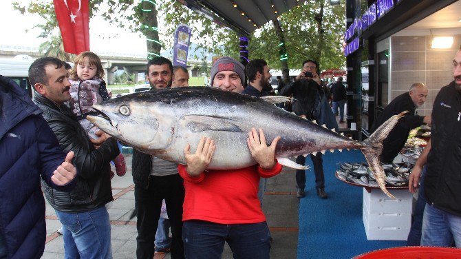 Rize’de Balıkçı Tezgahındaki Dev Orkinos Vatandaşın İlgisini Çekti