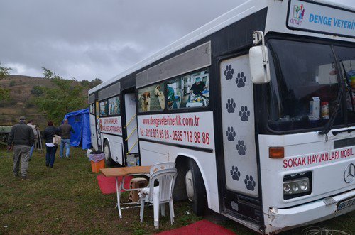 Sahipsiz Sokak Hayvanlarına Mobil Veterinerlik Hizmeti