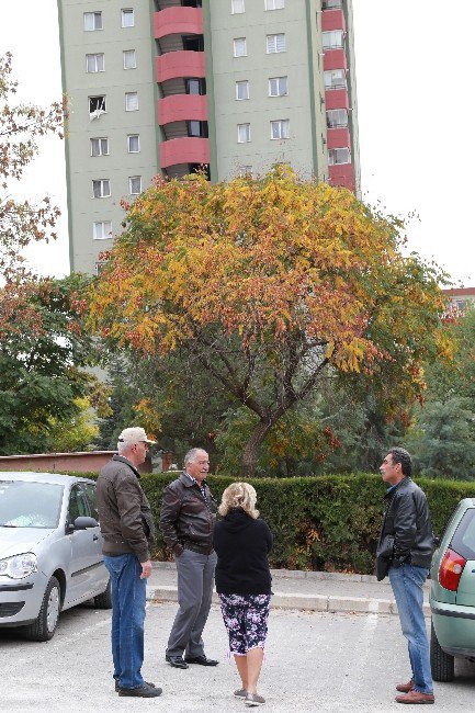 Canlı Bombanın Kaldığı Apartmandaki Vatandaşlar Olay Anını Anlattı