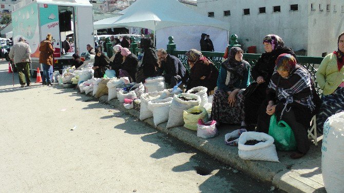 Kestane Bolluğu Satıcıları Sevindirirken, Tüketici Fiyatlardan Şikayetçi