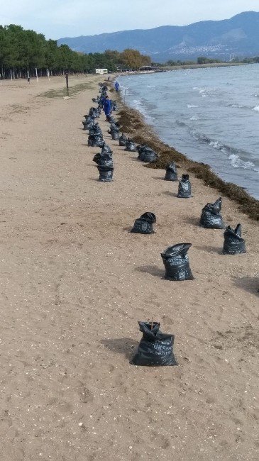 İznik Gölü Sahilinde Temizlik Harekatı