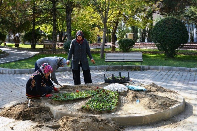 Gediz Sonbaharda Çiçeklerle Güzelleşiyor