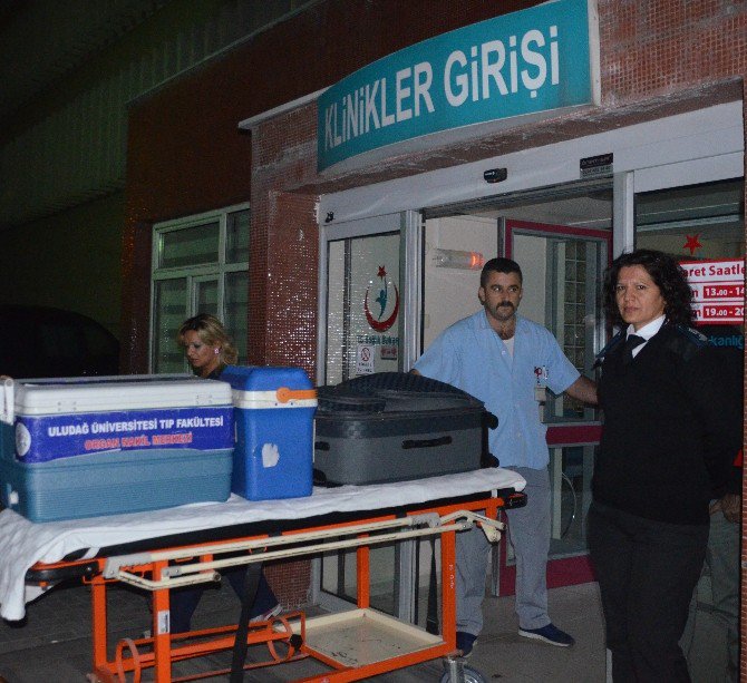 Organ Nakli Umutları Yeşertmeye Devam Ediyor