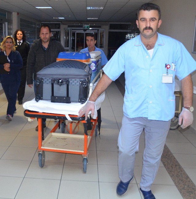 Organ Nakli Umutları Yeşertmeye Devam Ediyor