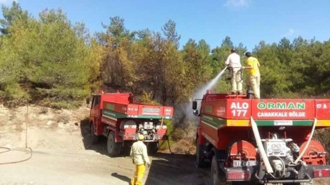 Çanakkale’de Orman Yangını