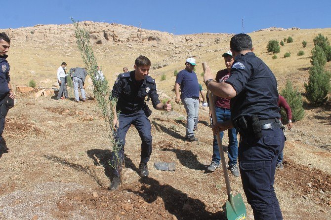 Mardin’de 15 Temmuz Şehitleri Anısına Hatıra Ormanı Oluşturuldu