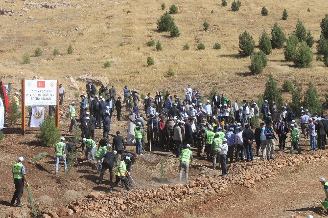 Mardin’de 15 Temmuz Şehitleri Anısına Hatıra Ormanı Oluşturuldu