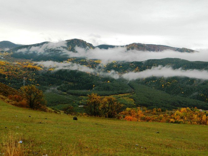 Posof’ta Sonbahar Bir Başka Güzel