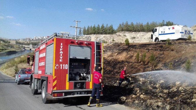 Ormanlık Alanda Yangın Çıktı